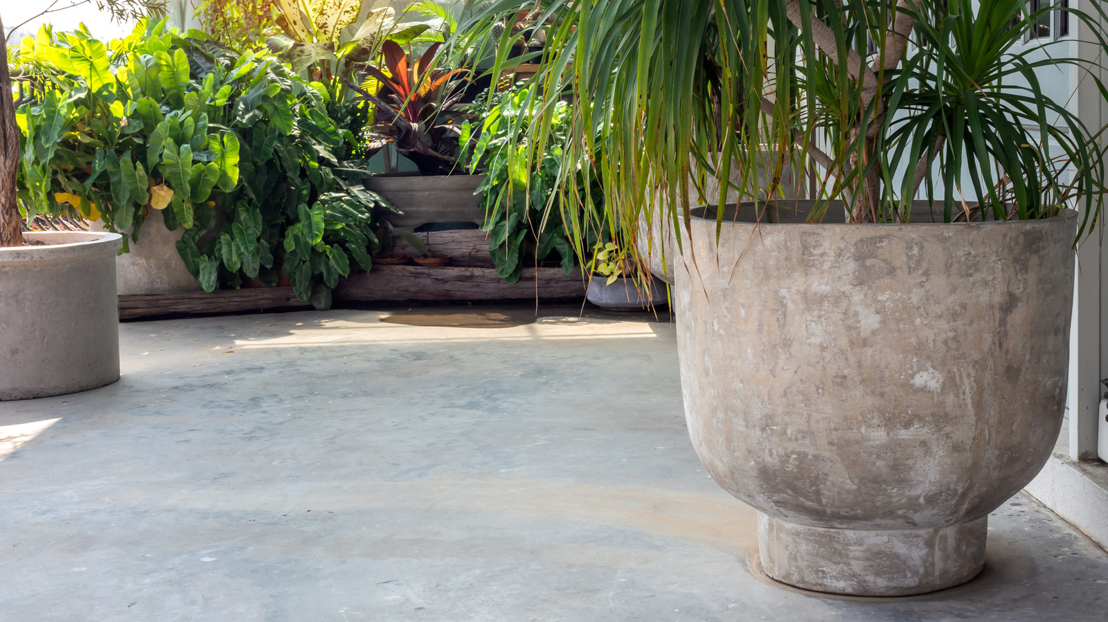 Ne jetez pas les bouteilles d'eau en plastique - essayez plutôt un piratage de jardinage à économiser de l'argent